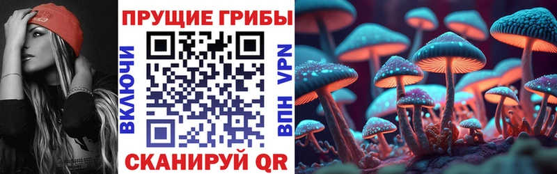 где найти наркотики  Полтавская  Псилоцибиновые грибы MAGIC MUSHROOMS 